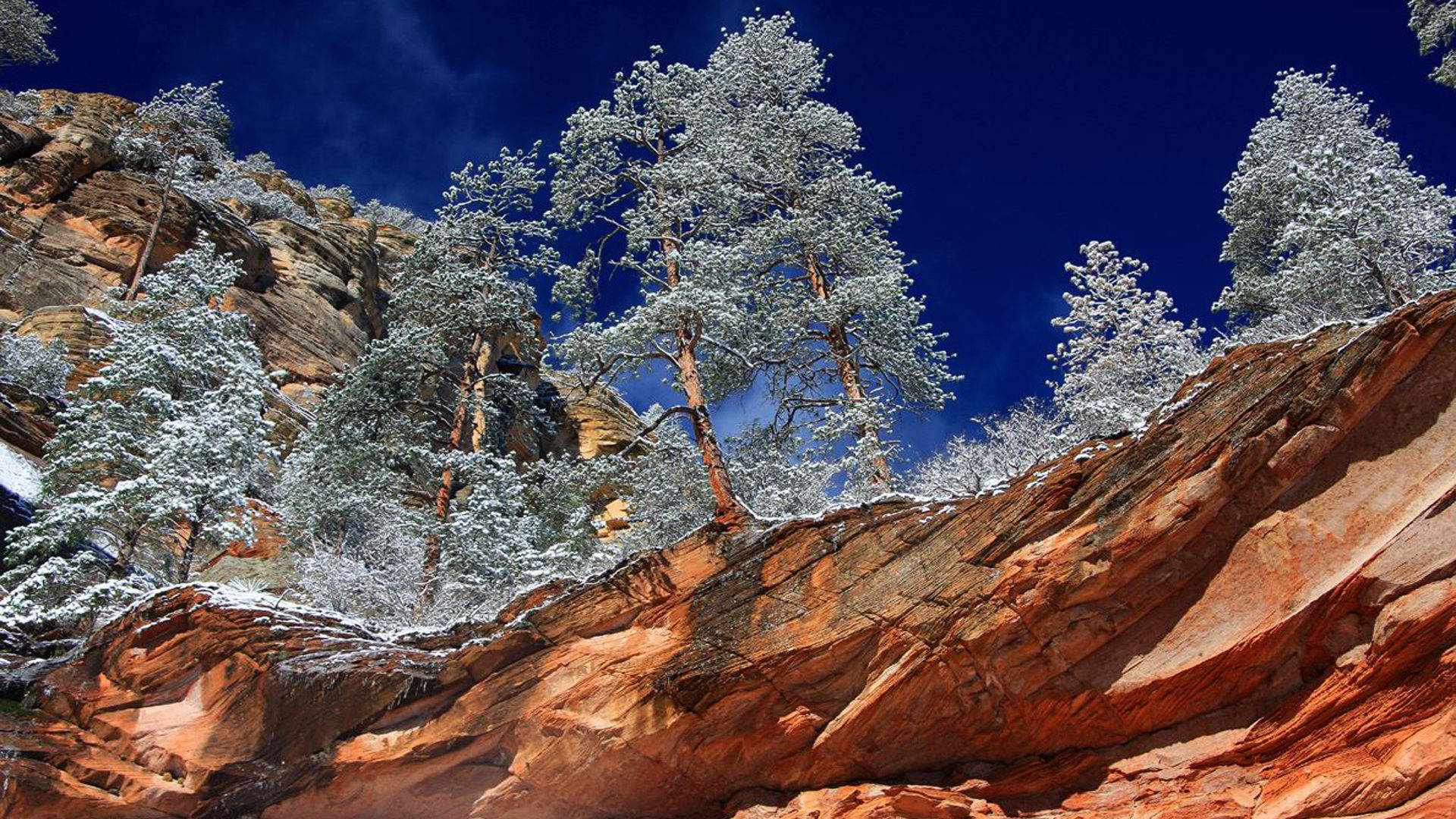 Arizona, red rock formations, snow-dusted pine trees, Full HD Desktop Wallpaper