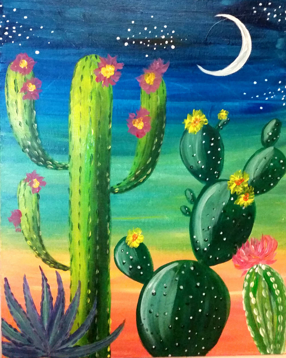 cute flower cactus, Arizona desert, pink and yellow flowers, SD Phone Wallpaper