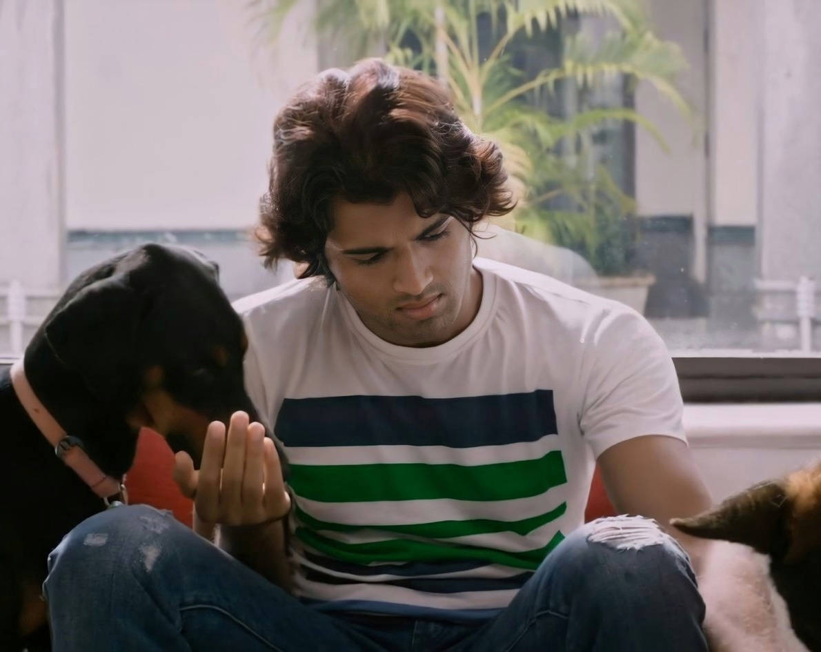 Arjun Reddy, black dog, curly hair, SD Desktop Wallpaper