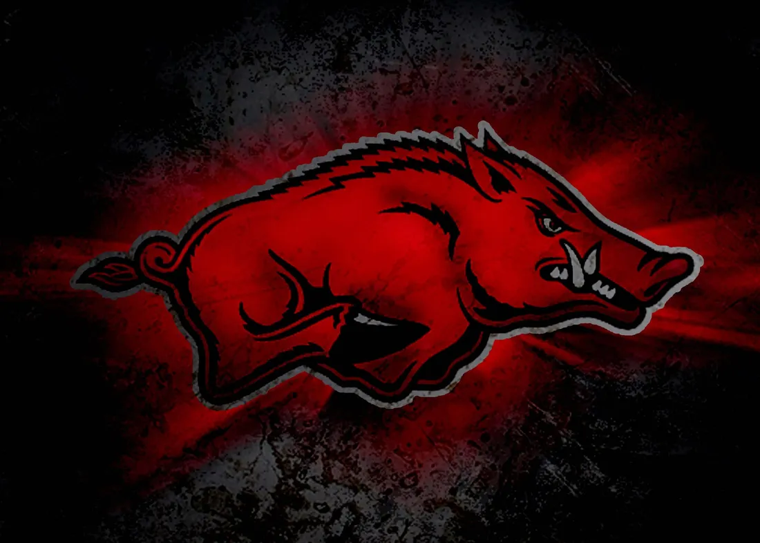 Arkansas Razorbacks