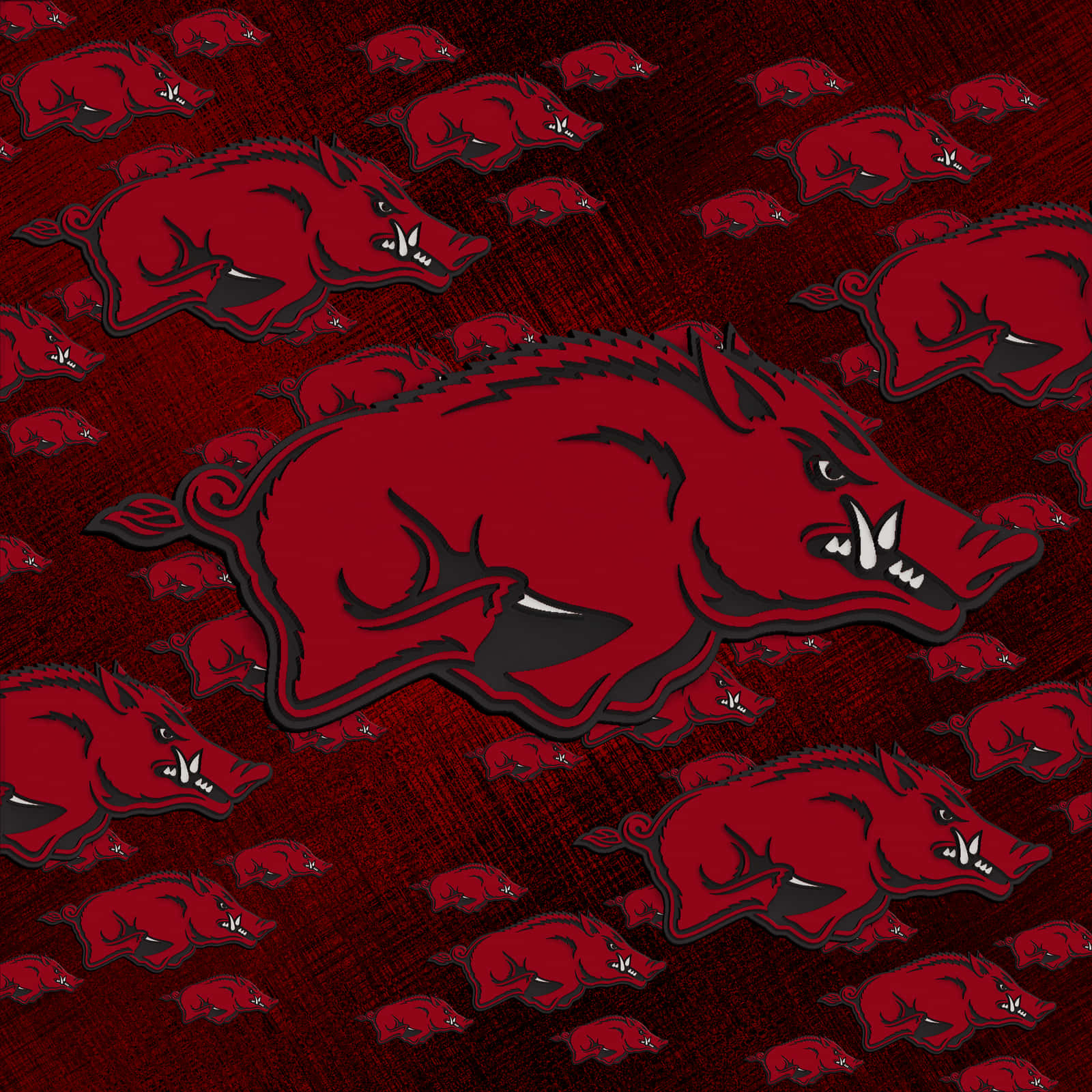 Arkansas Razorbacks, crimson, black outlines, HD Desktop Wallpaper