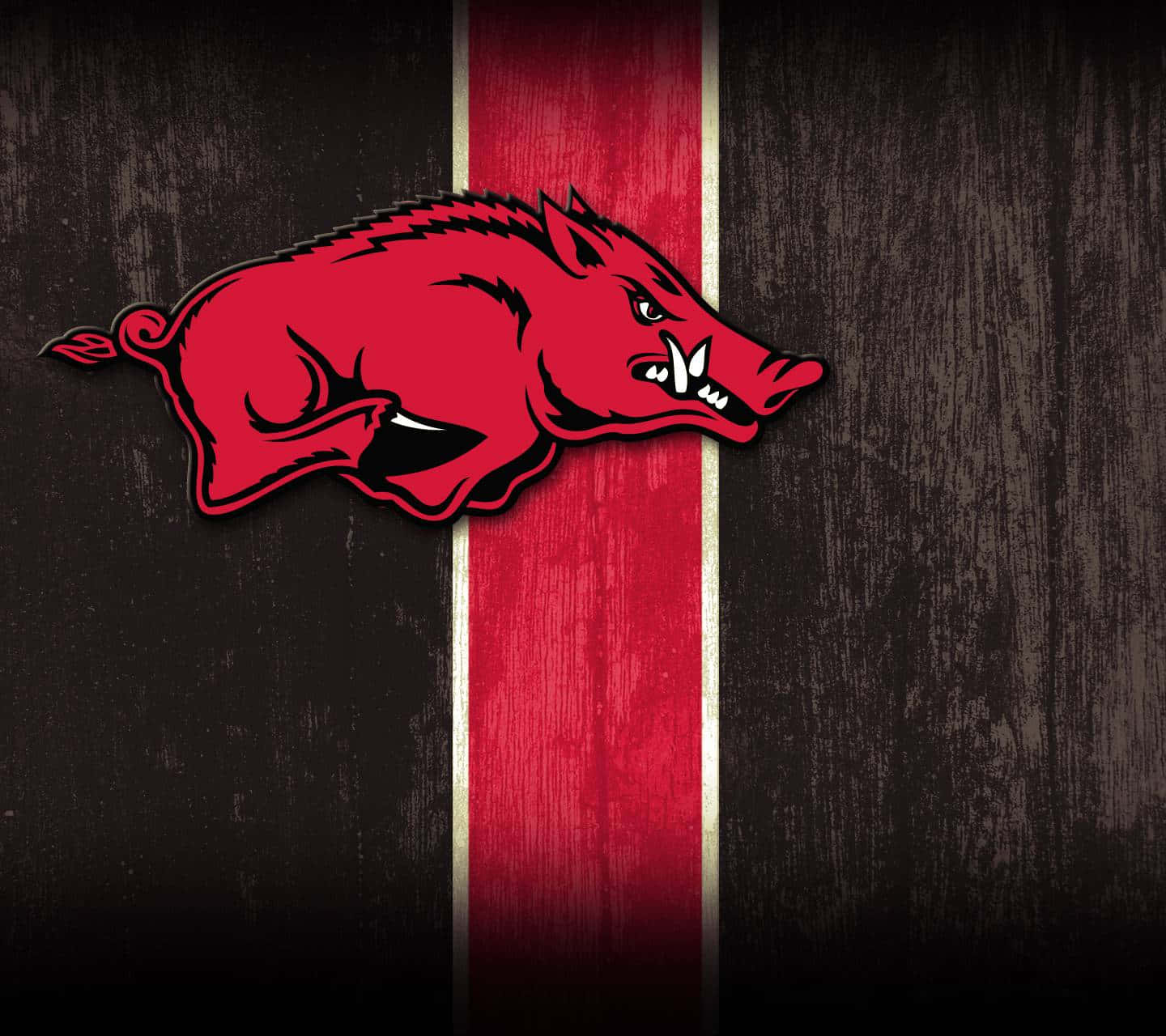 Arkansas Razorbacks, fierce red razorback mascot, vertical red stripe, HD Desktop Wallpaper