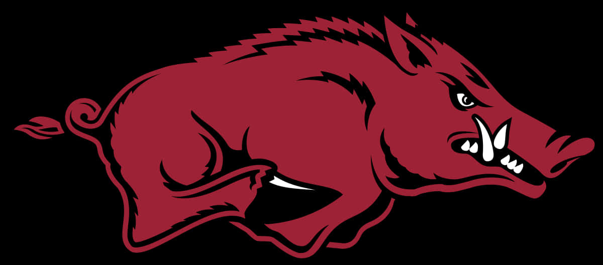 Arkansas Razorbacks, crimson, white tusks, SD Desktop Wallpaper