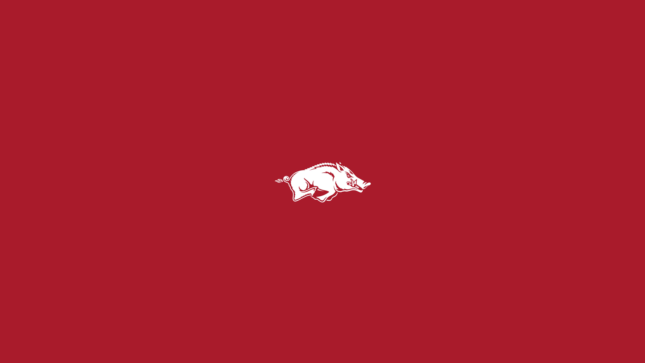 Arkansas Razorbacks, white silhouette, charging wild boar, 2K Desktop Wallpaper