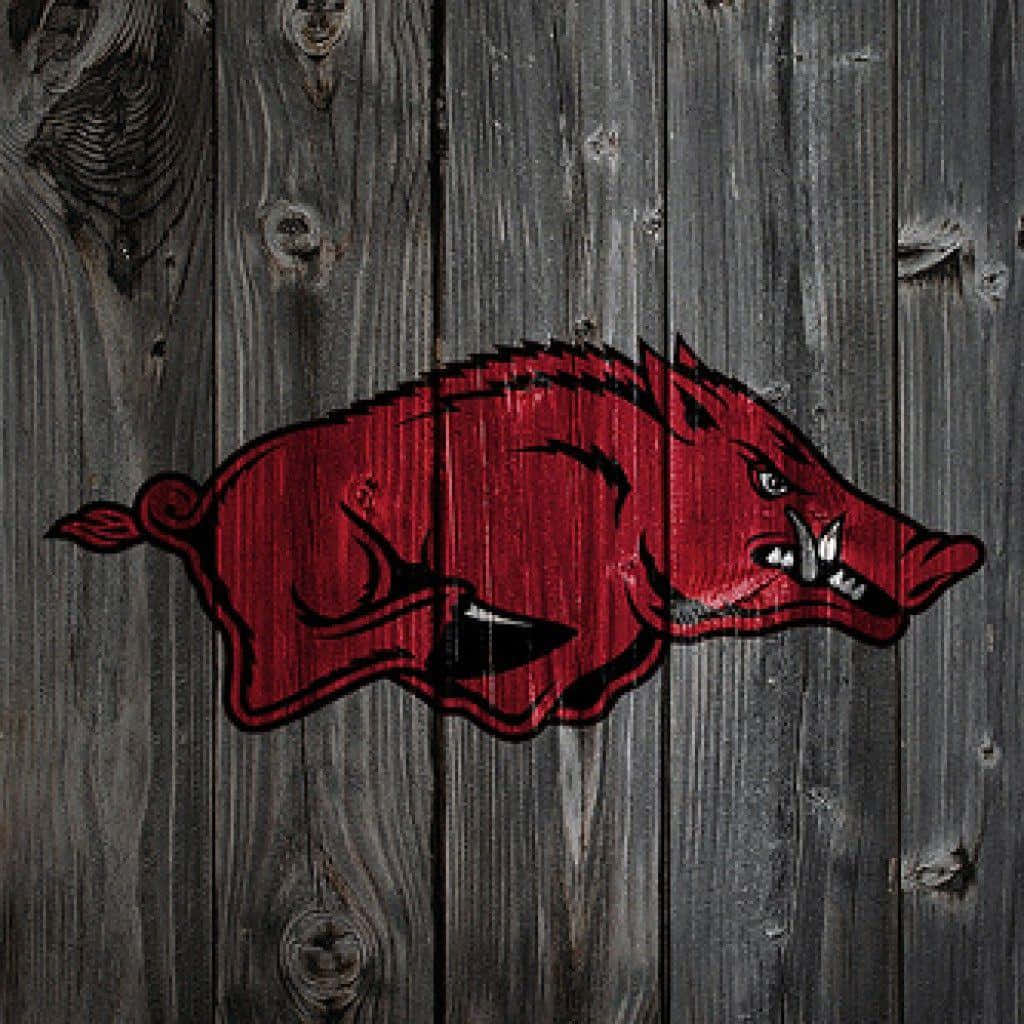 Arkansas Razorbacks, red, wooden planks, SD Desktop Wallpaper