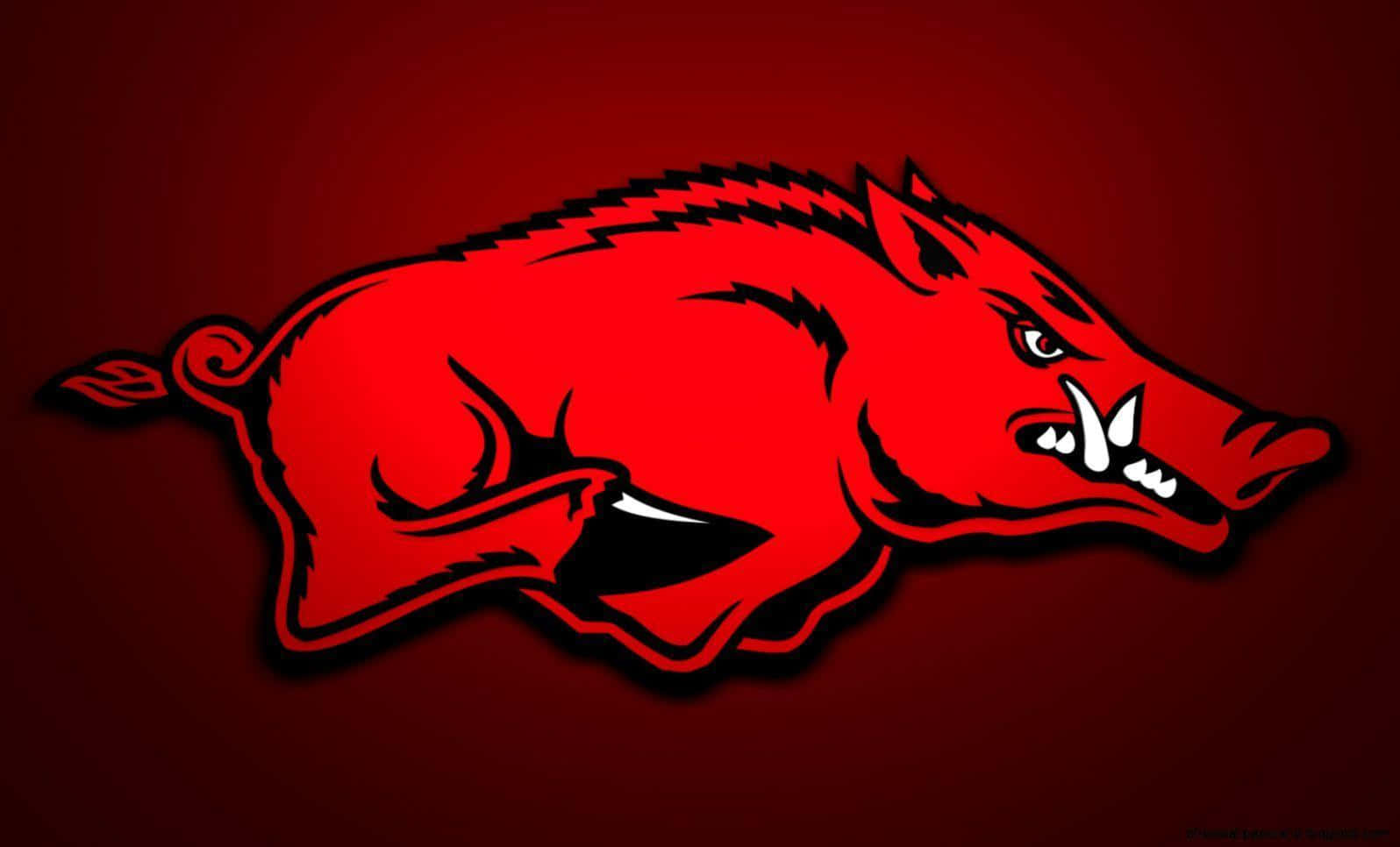 Arkansas Razorbacks, fierce red cartoon wild boar, sharp tusks, HD Desktop Wallpaper
