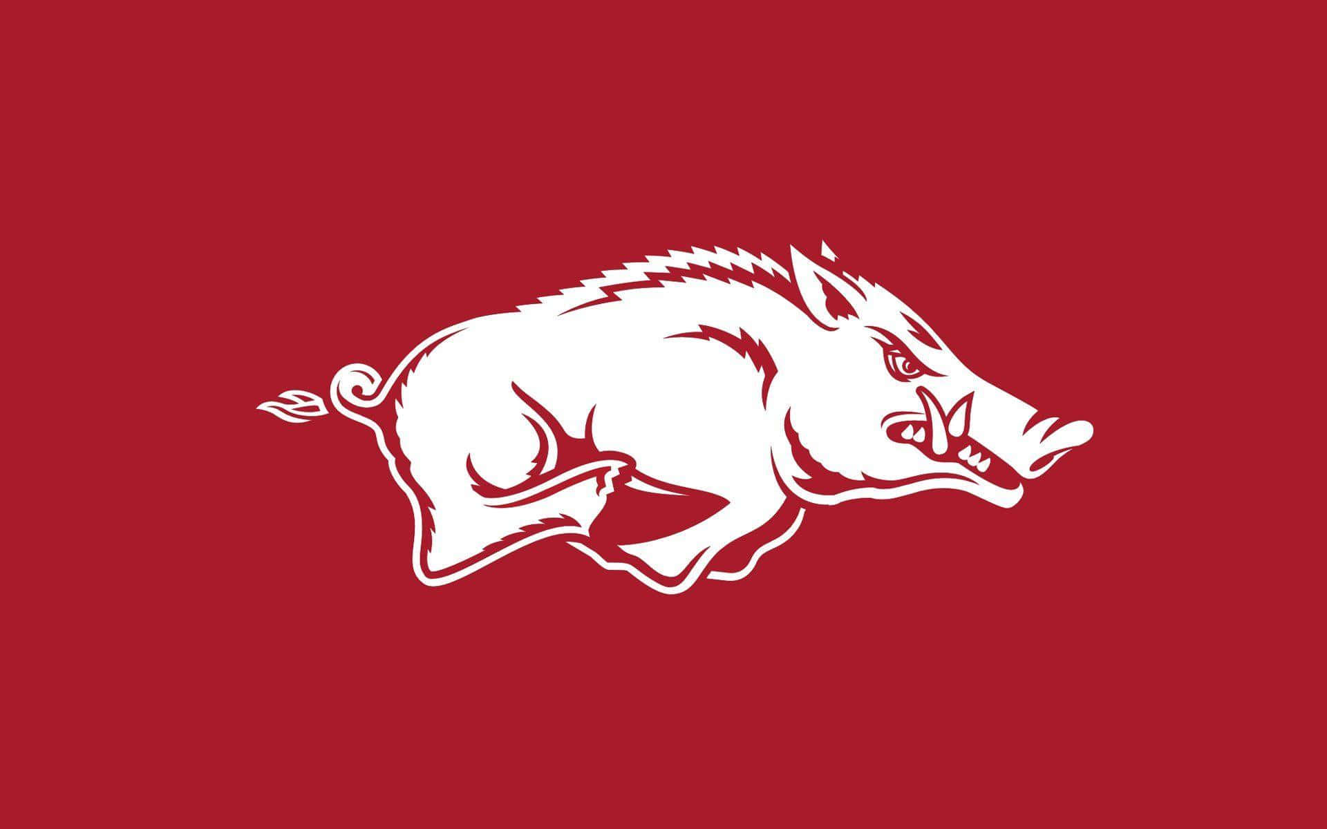 Arkansas Razorbacks, red background, white silhouette, Full HD Desktop Wallpaper