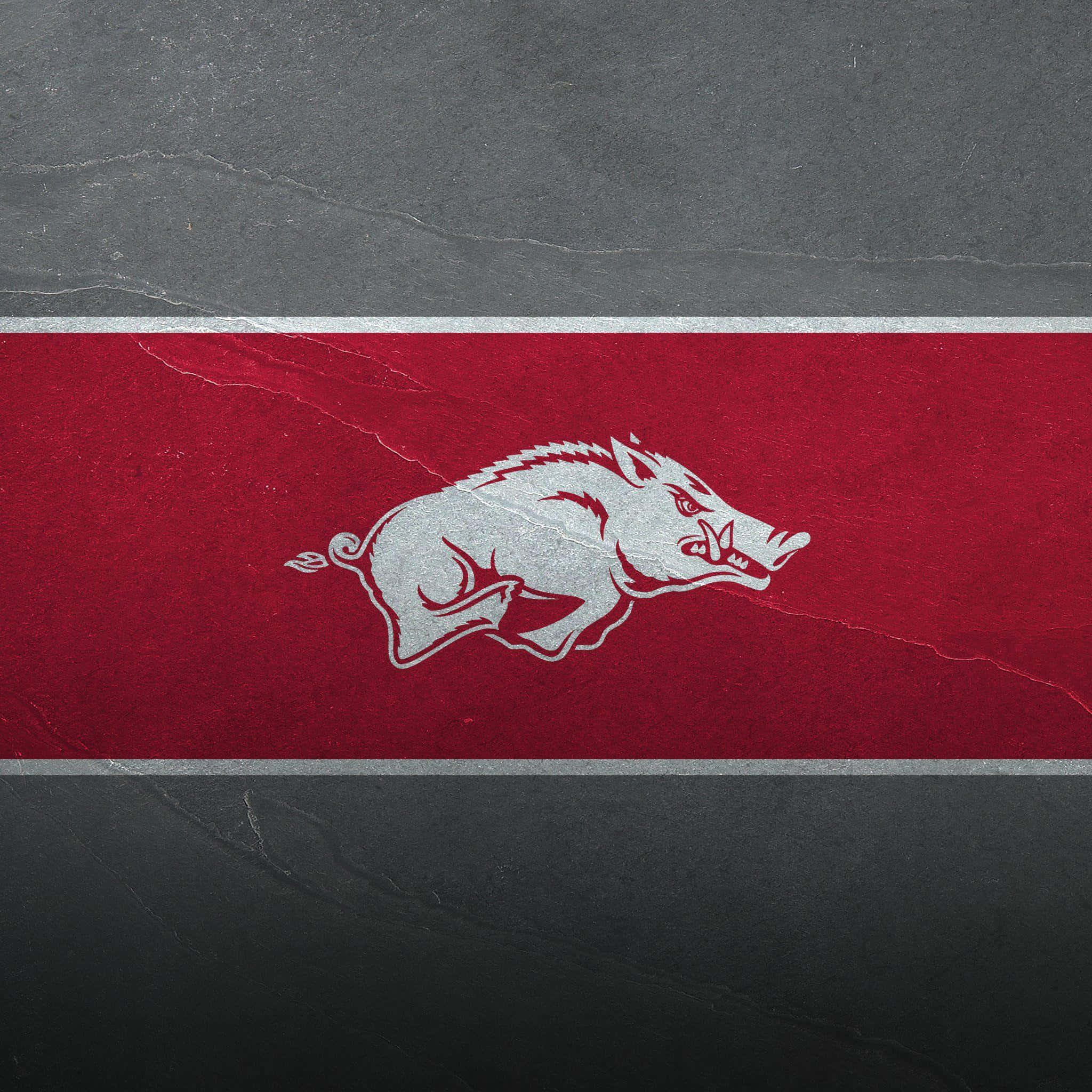 Arkansas Razorbacks, white charging boar logo, textured red stripe, Full HD Desktop Wallpaper