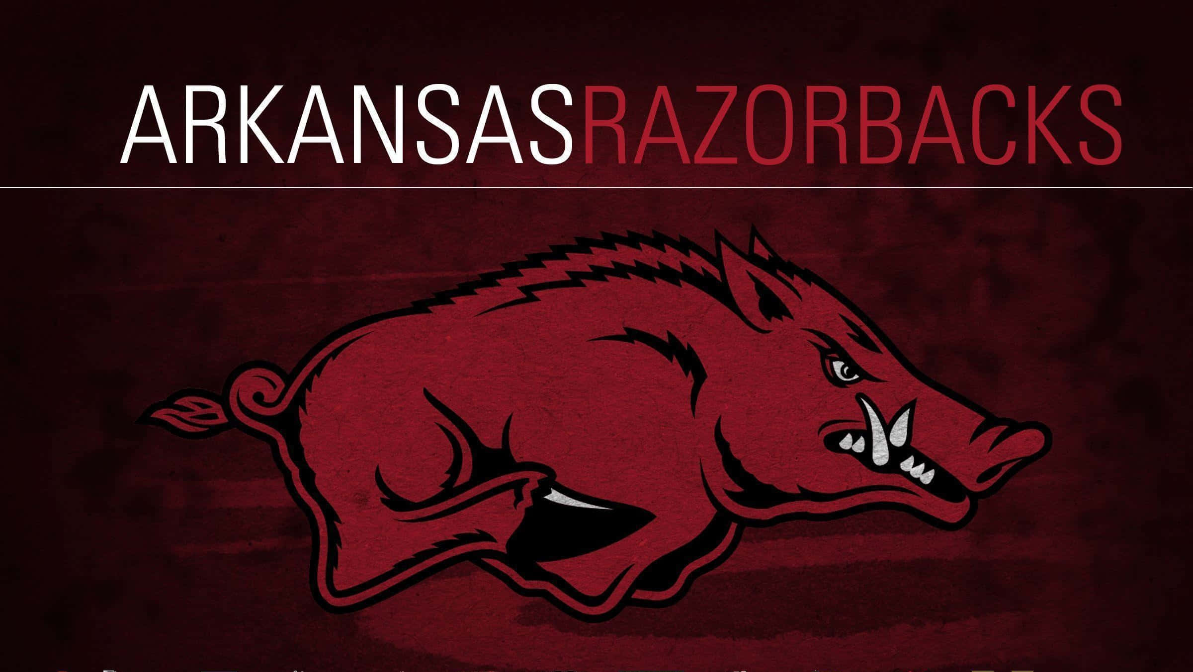 Arkansas Razorbacks, red razorback mascot, maroon background, Full HD Desktop Wallpaper