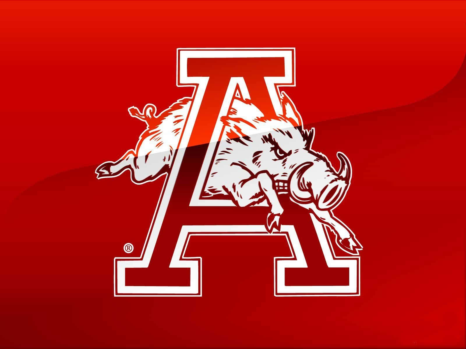 Arkansas Razorbacks, red gradient background, charging boar, HD Desktop Wallpaper