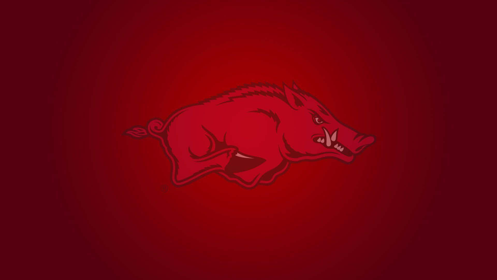 Arkansas Razorbacks, fierce red wild boar logo, gradient crimson background, Full HD Desktop Wallpaper