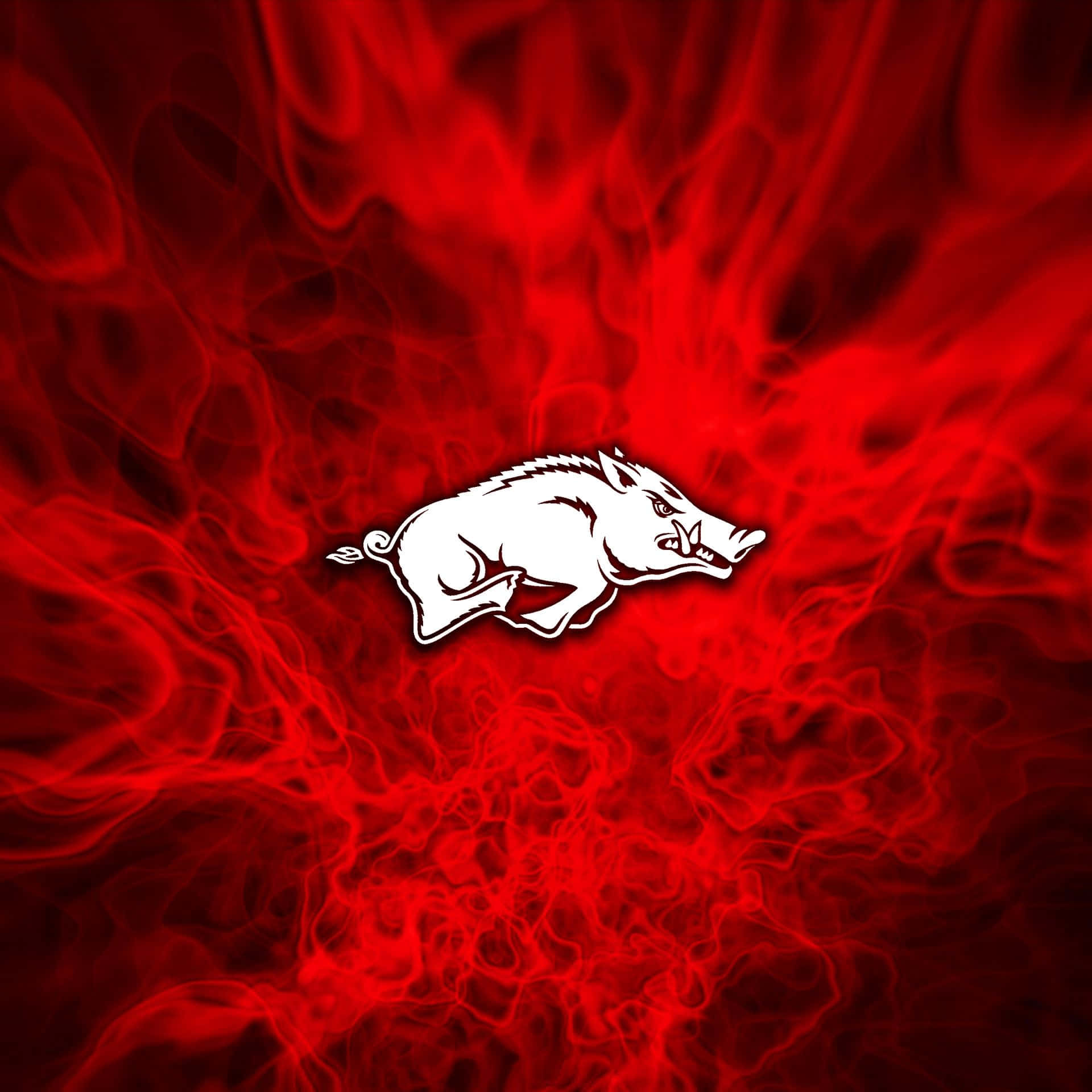 Arkansas Razorbacks, white silhouette, charging wild boar, Full HD Desktop Wallpaper