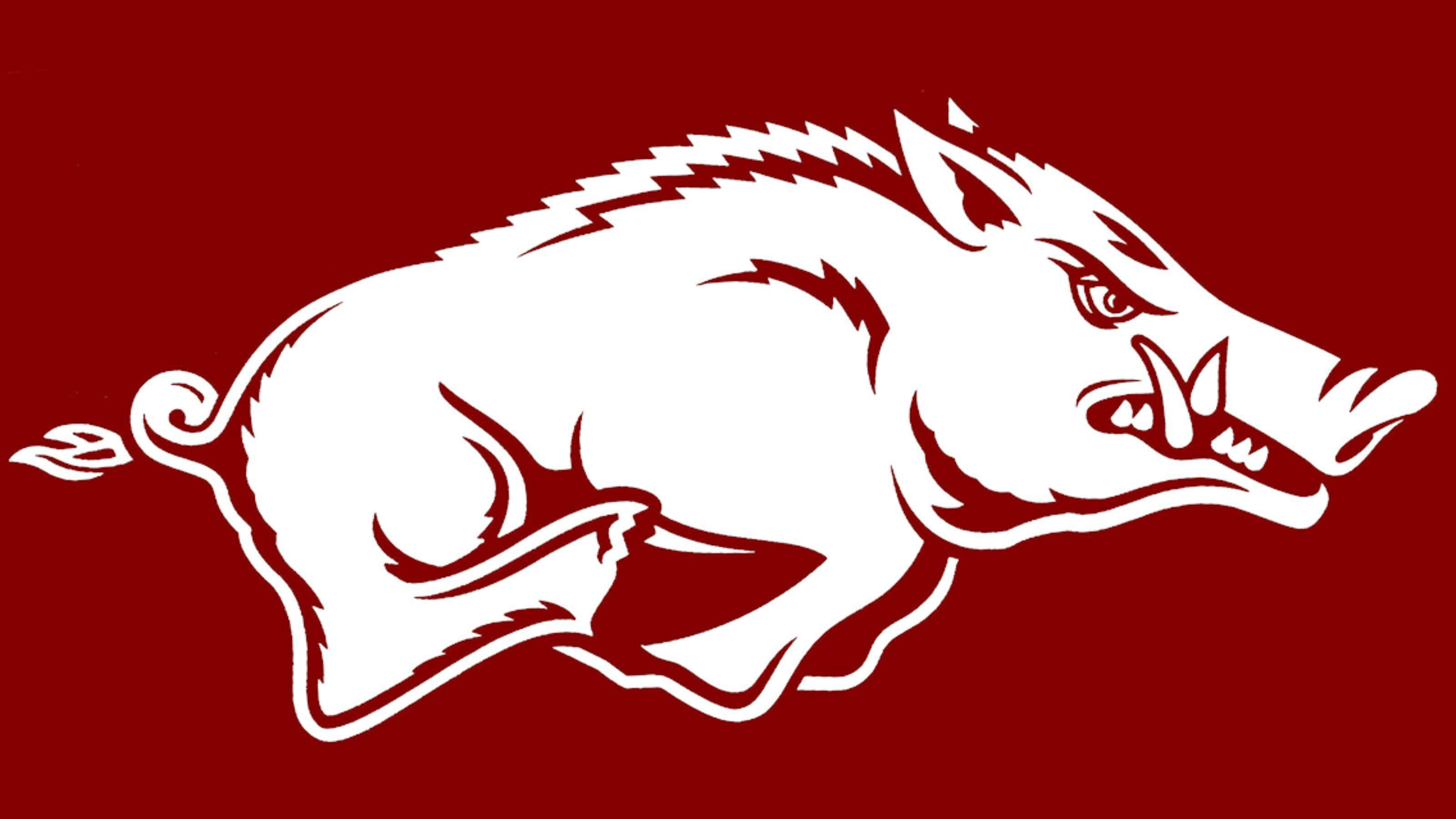 Arkansas Razorbacks, white silhouette, charging wild boar, 2K Desktop Wallpaper