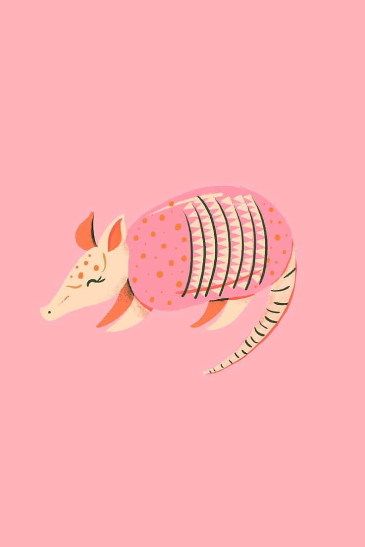cute cartoon armadillo, pink background, geometric patterns, SD Phone Wallpaper