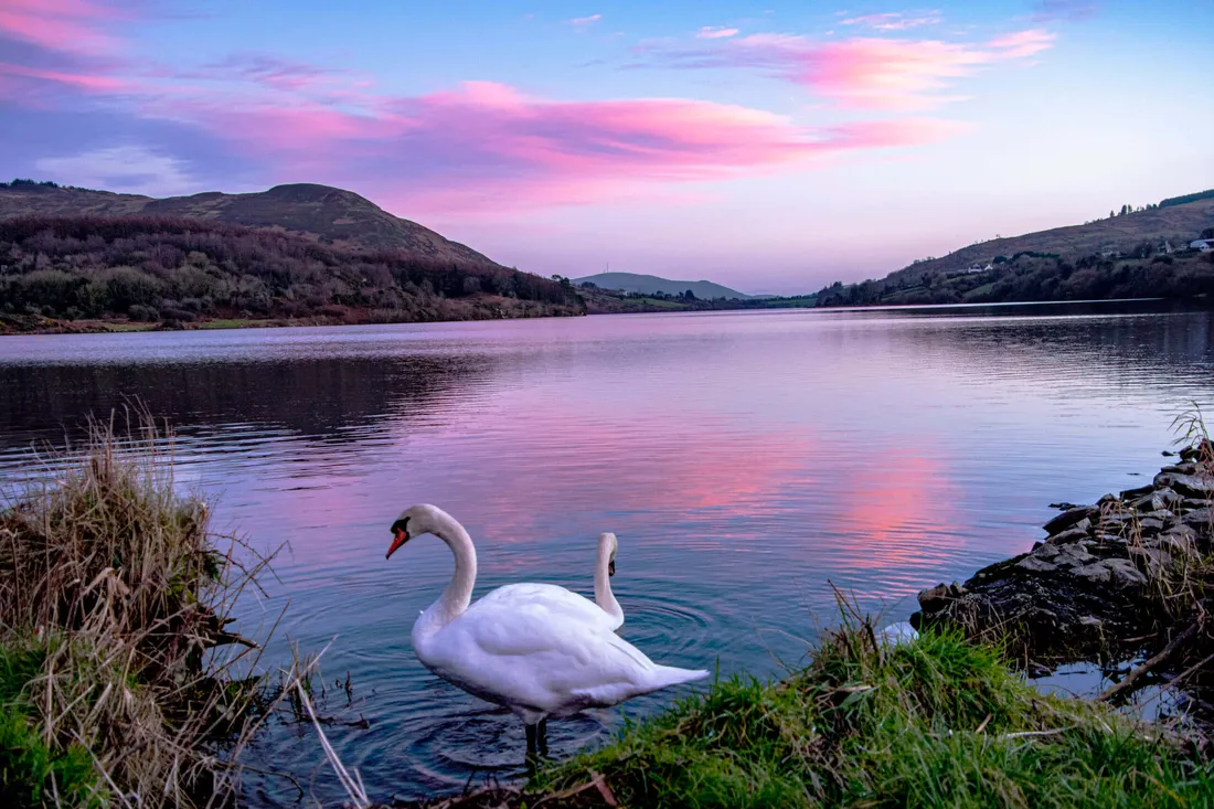 Armagh