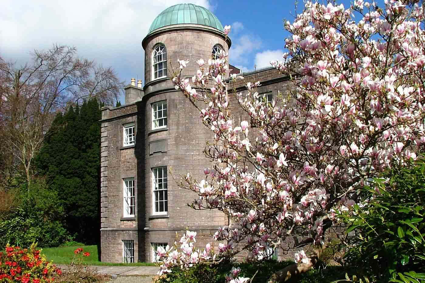 Armagh, Georgian architecture, spring blooms, HD Desktop Wallpaper