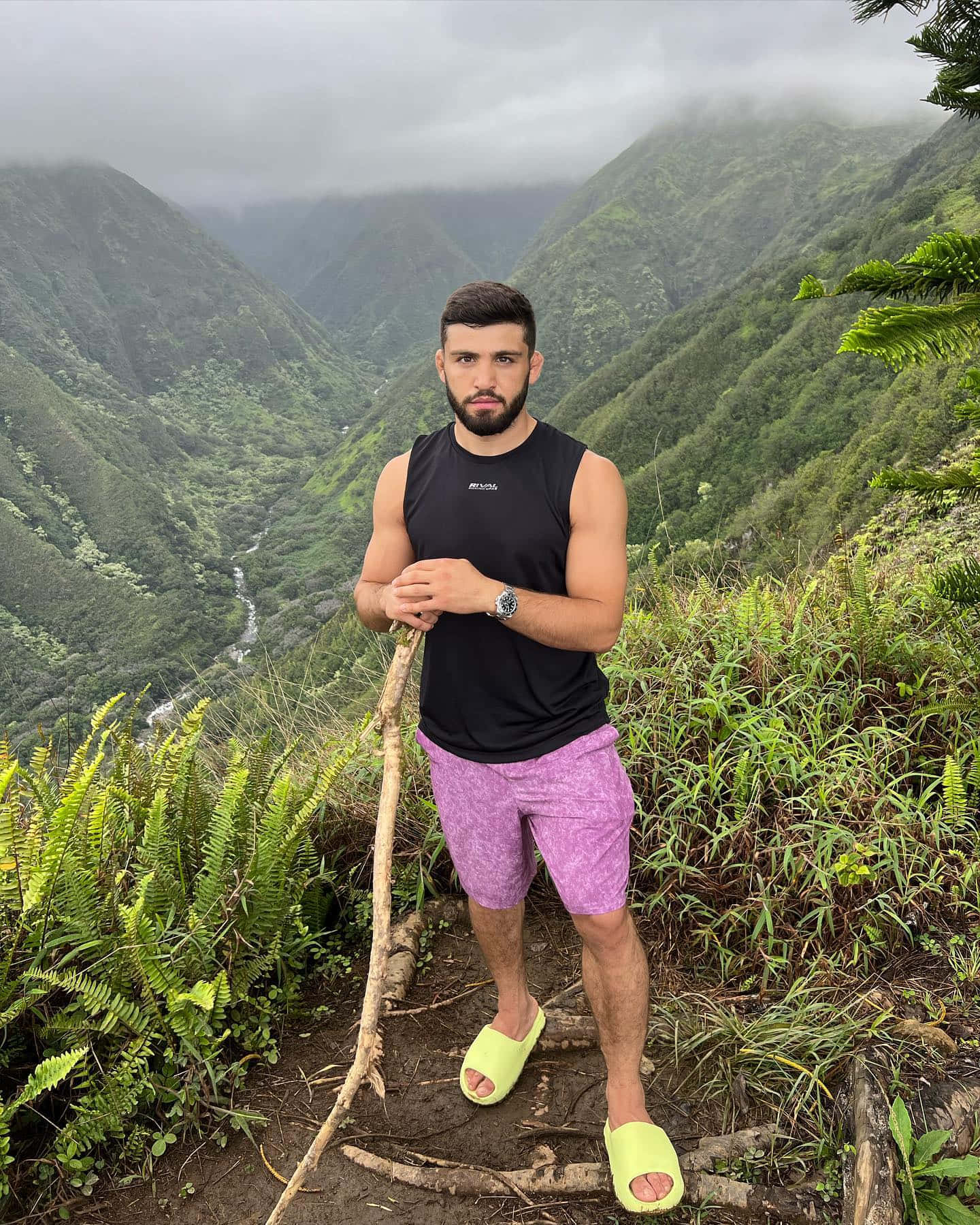 Arman Tsarukyan, mountain trail, misty, HD Phone Wallpaper