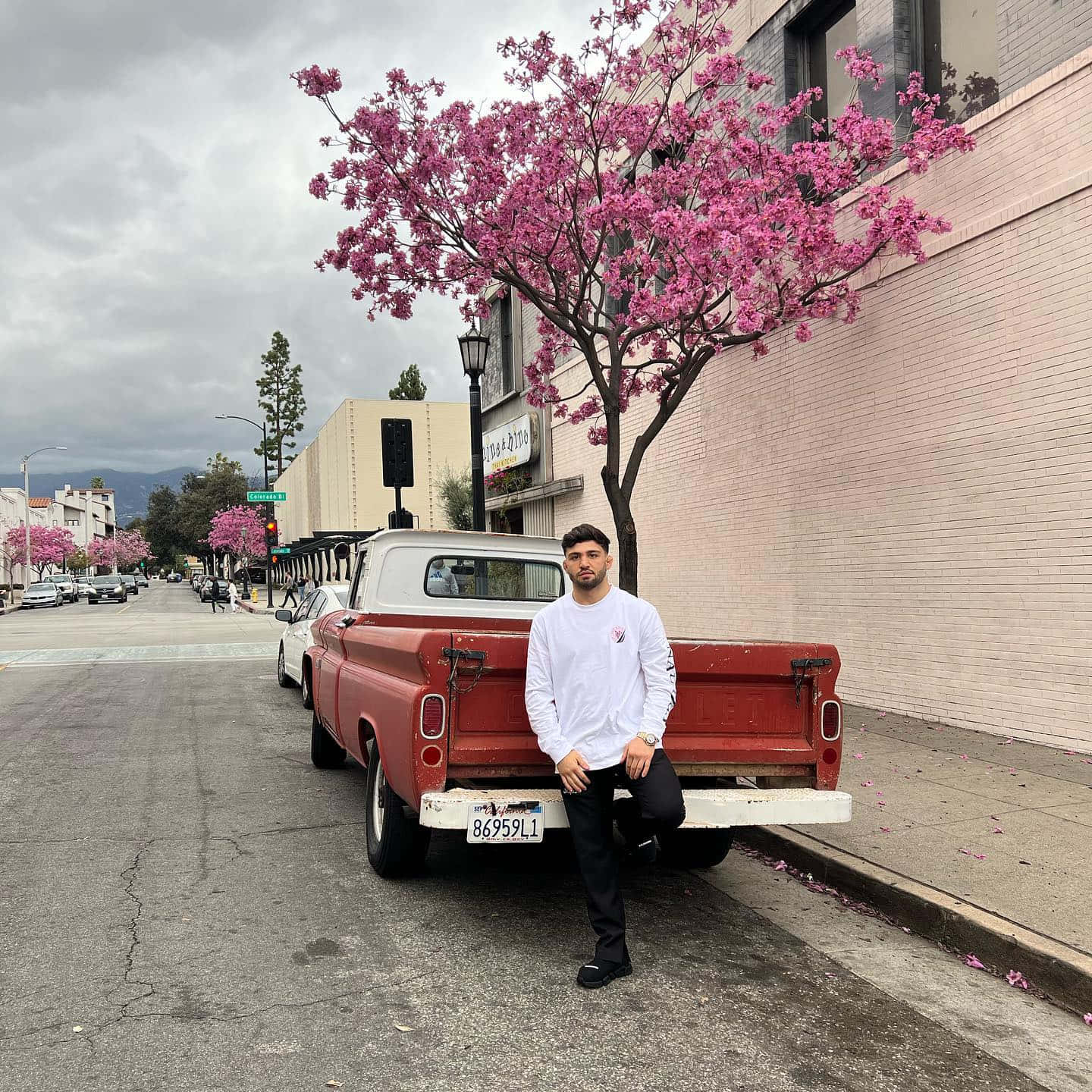 Arman Tsarukyan, vintage red pickup truck, vibrant pink flowering tree, HD Desktop Wallpaper
