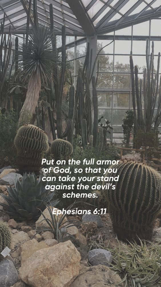 Armor Of God, greenhouse, tall cacti, SD Phone Wallpaper