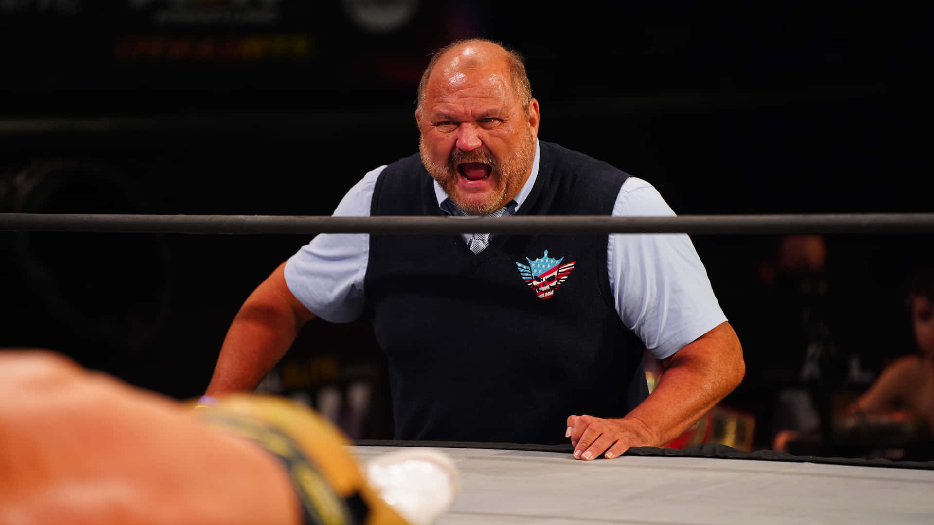 Arn Anderson, wrestling ring, ring rope, Full HD Desktop Wallpaper
