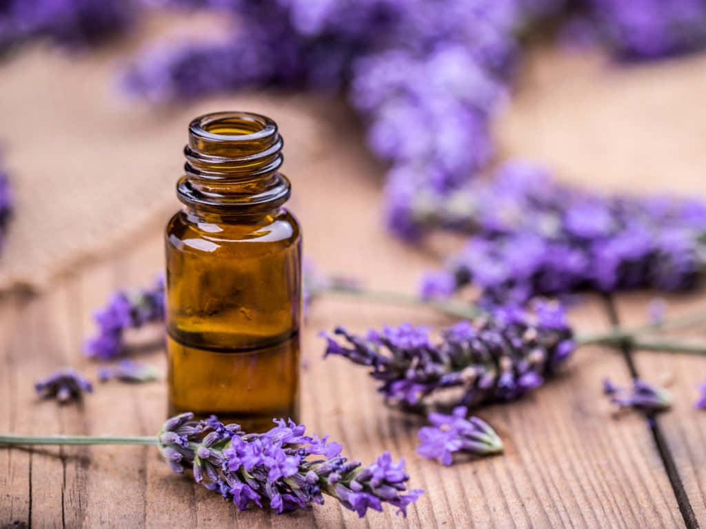 aromatherapy, amber bottle, lavender oil, SD Desktop Wallpaper