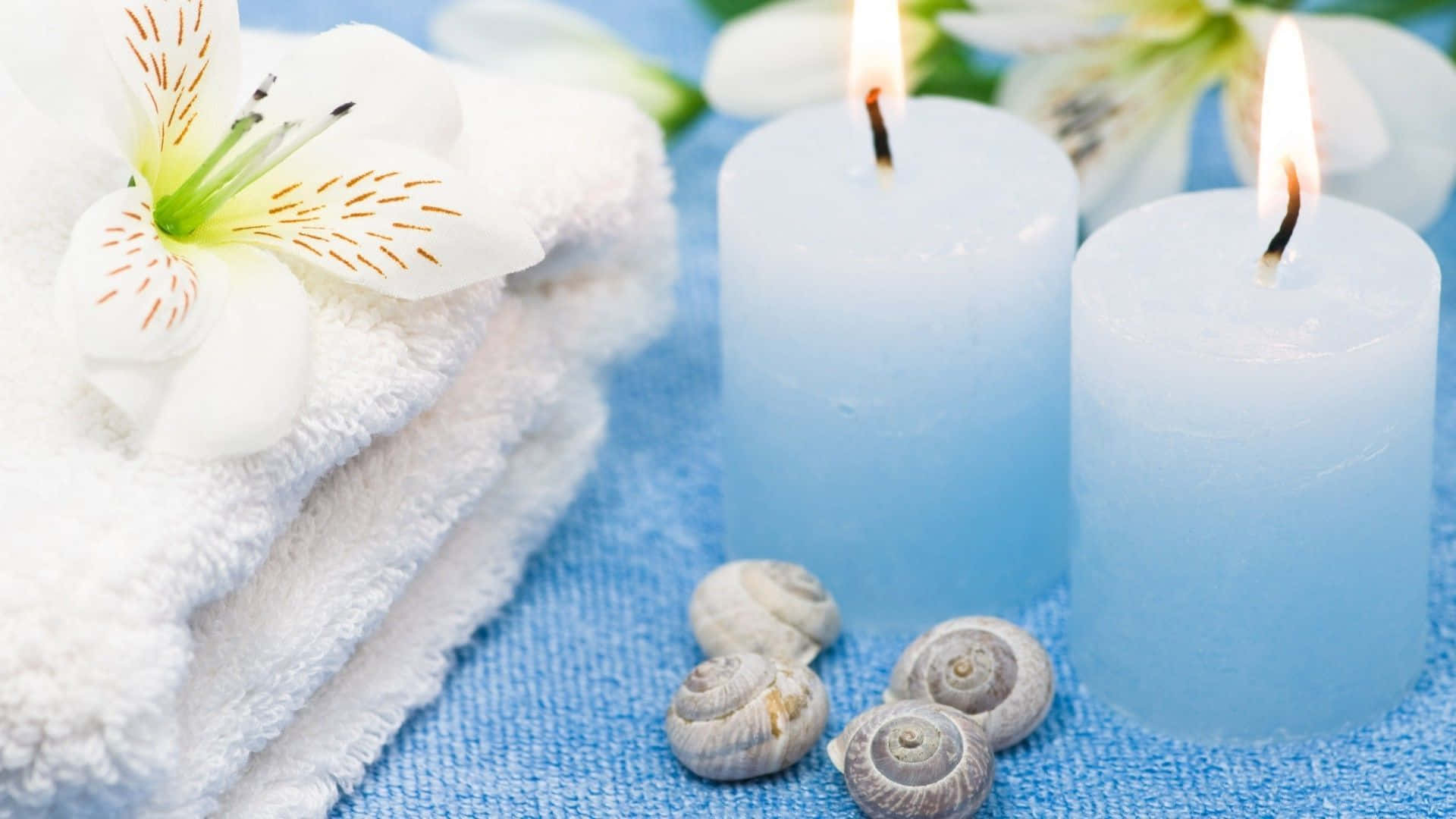 Aromatherapy, soft white towels, delicate white flower, Full HD Desktop Wallpaper