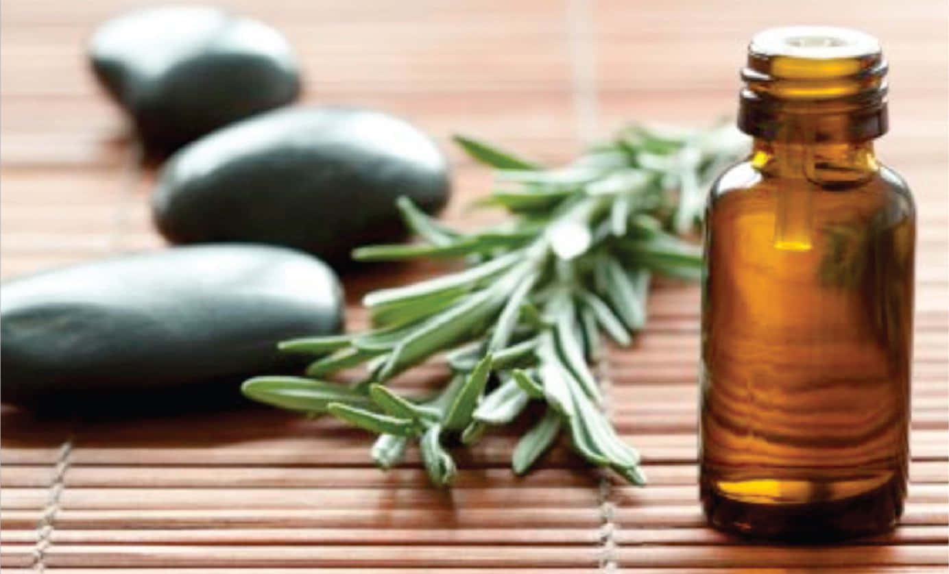 amber glass bottle, essential oil, rosemary sprigs, HD Desktop Wallpaper