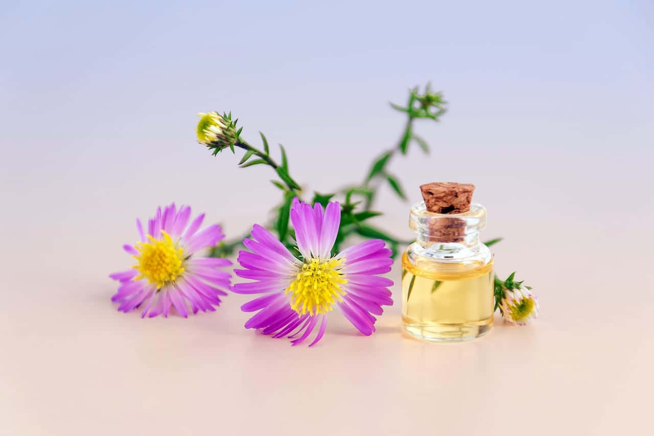 golden essential oil, vibrant purple flowers, yellow centers, HD Desktop Wallpaper