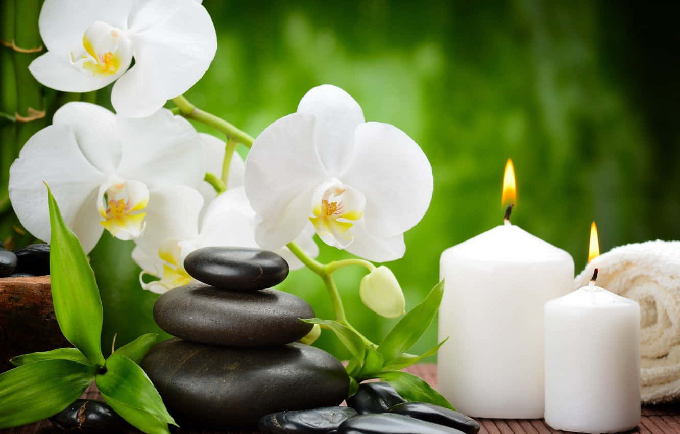 Aromatherapy, white orchids, black stones, HD Desktop Wallpaper