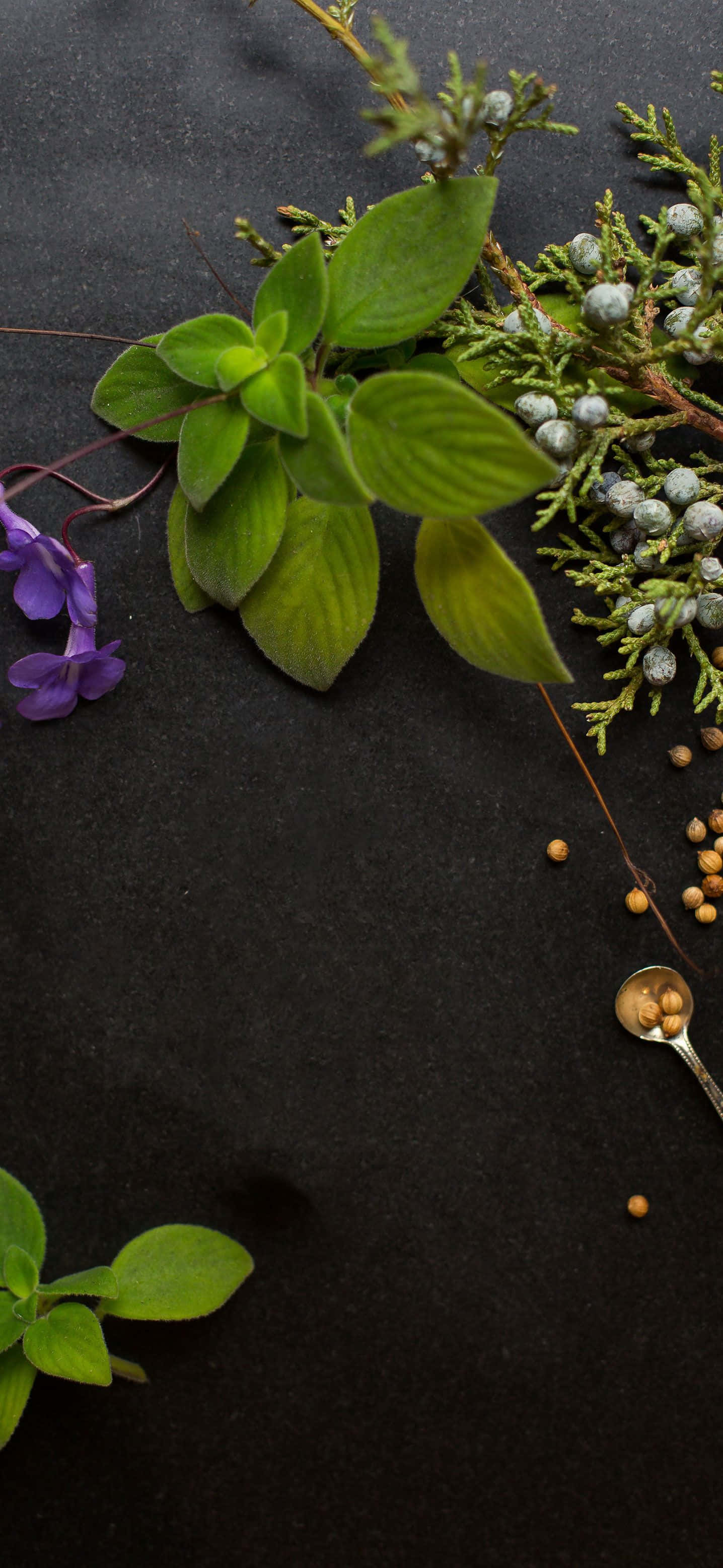 essential oils, fresh green leaves, purple flowers, 2K Phone Wallpaper