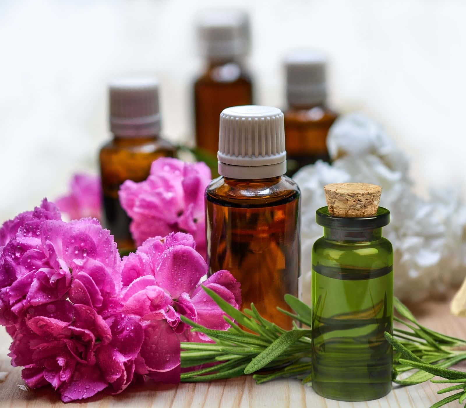 Aromatherapy, pink carnations, rosemary, HD Desktop Wallpaper