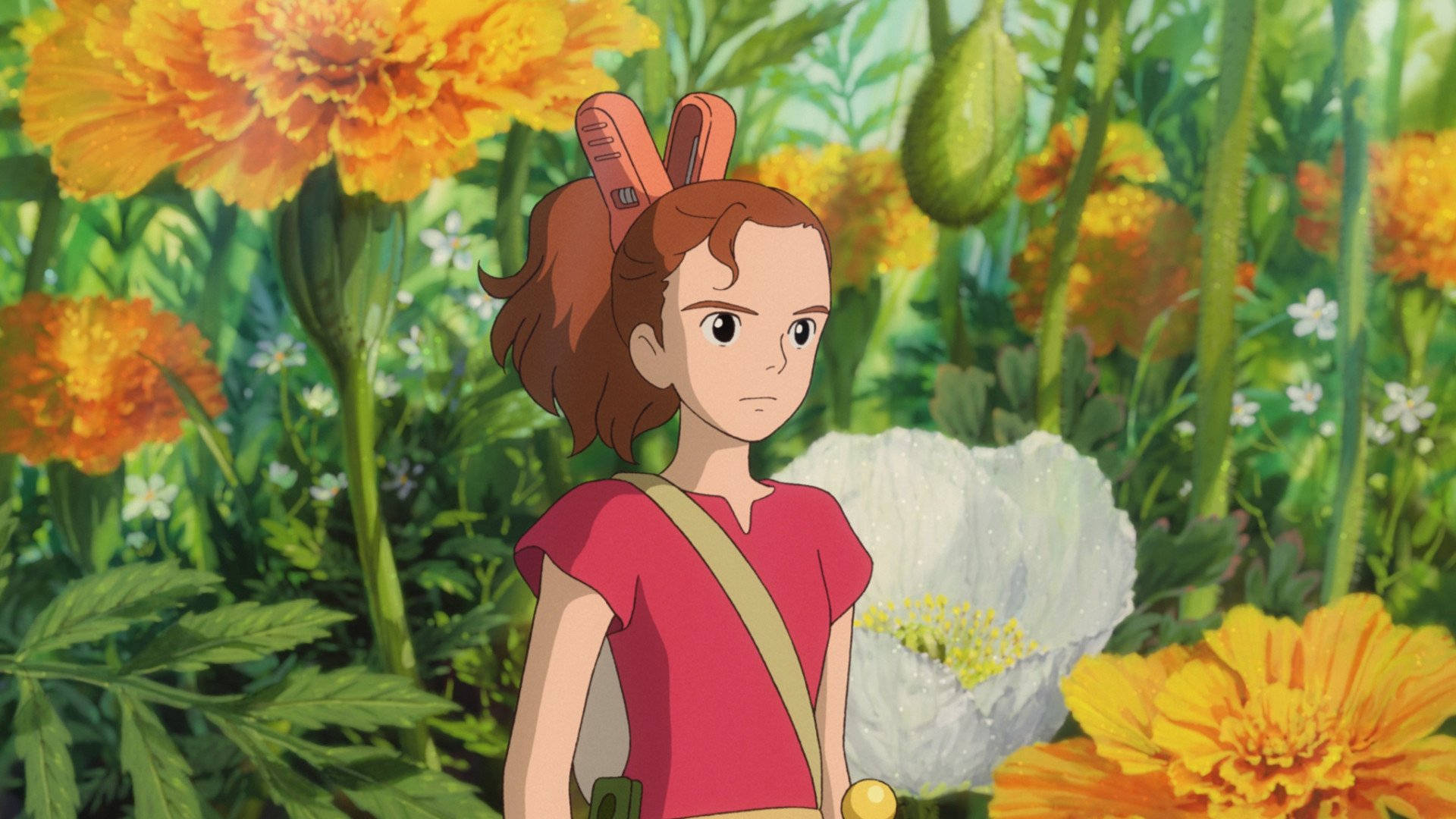 Arrietty, orange marigolds, bunny ears, Full HD Desktop Wallpaper