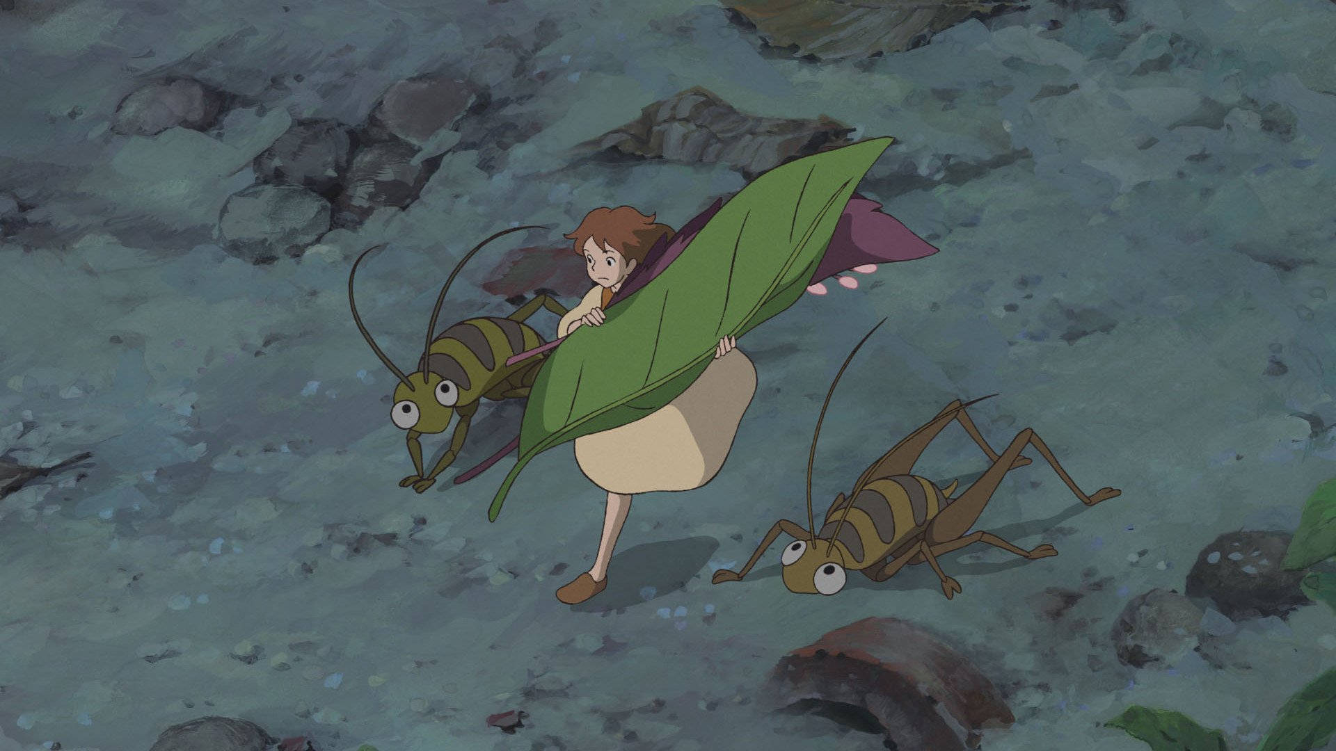 Arrietty, leaf cape, animated grasshoppers, Full HD Desktop Wallpaper
