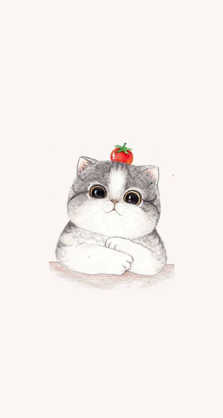 gray and white kitten, big eyes, arms crossed, HD Phone Wallpaper
