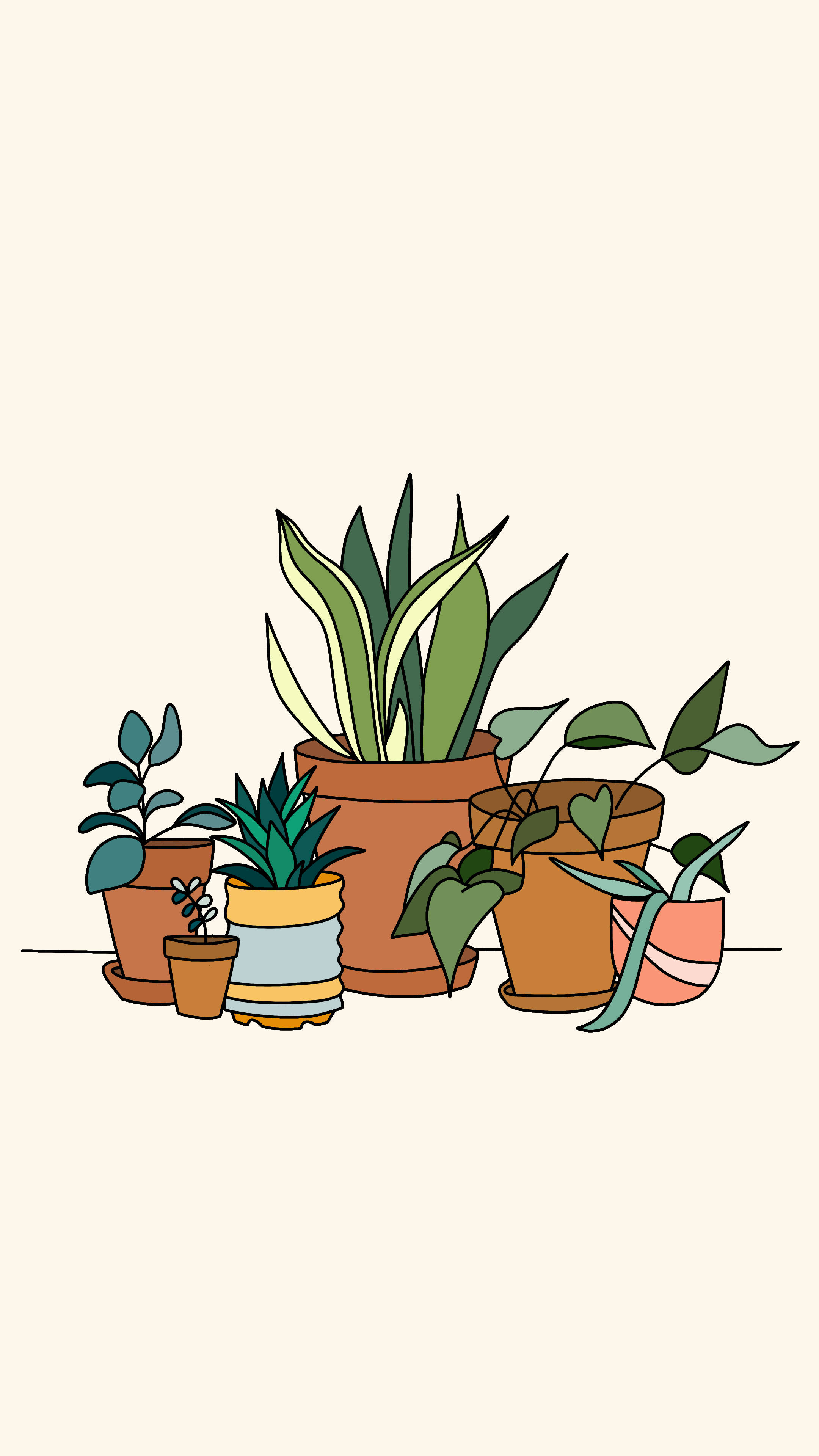 aesthetic house plants, varied leaf shapes, terracotta pots, 4K Phone Wallpaper