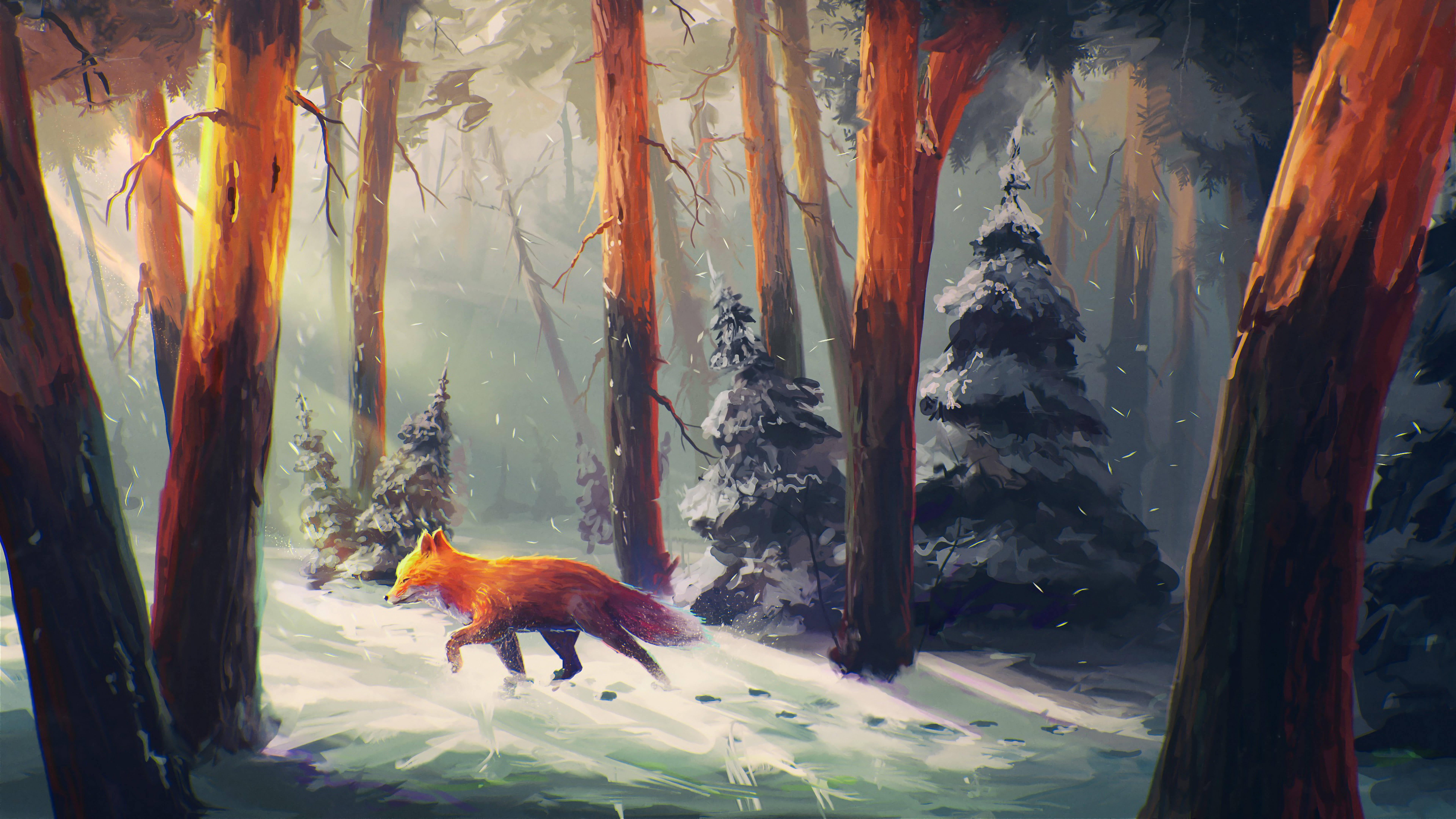 fox, forest, snowy forest, 8K Desktop Wallpaper