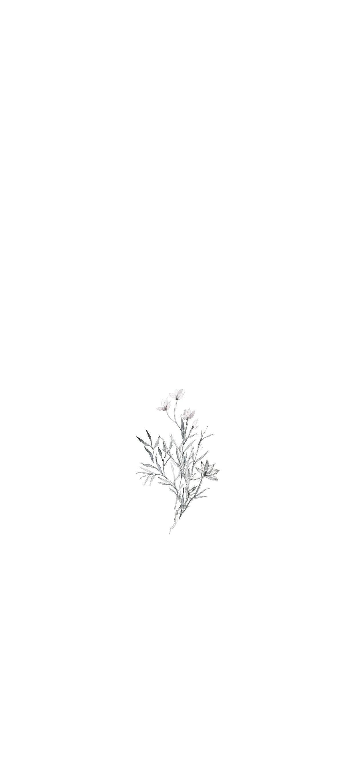 pencil sketch, small wildflower branch, fine stems, 2K Phone Wallpaper