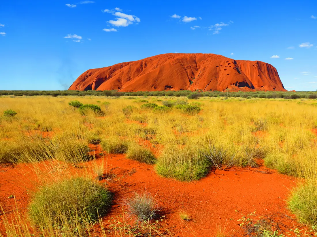 Art Gallery Of South Australia