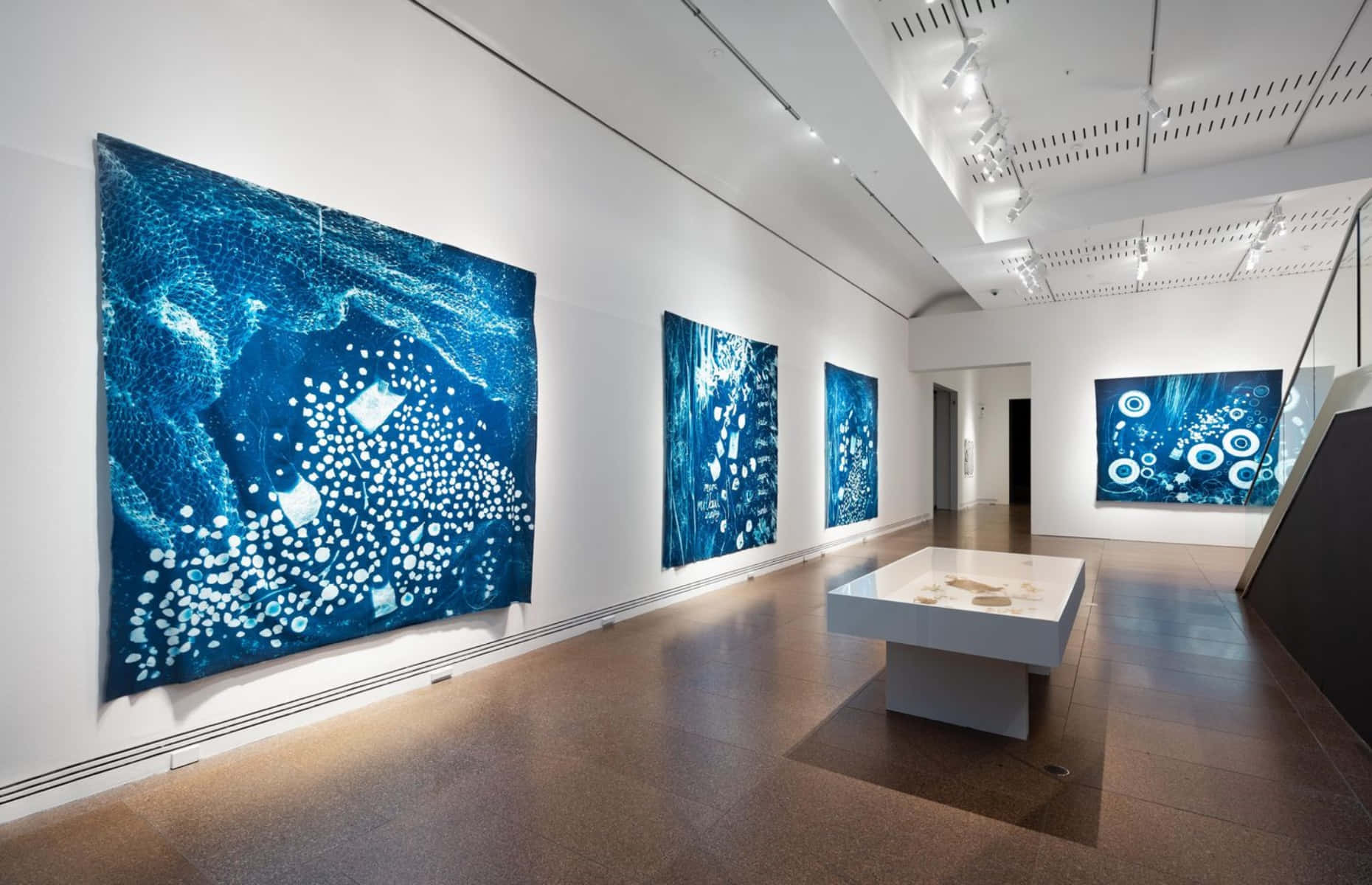 Contemporary Blue Art Exhibit, blue abstract paintings, white walls, HD Desktop Wallpaper