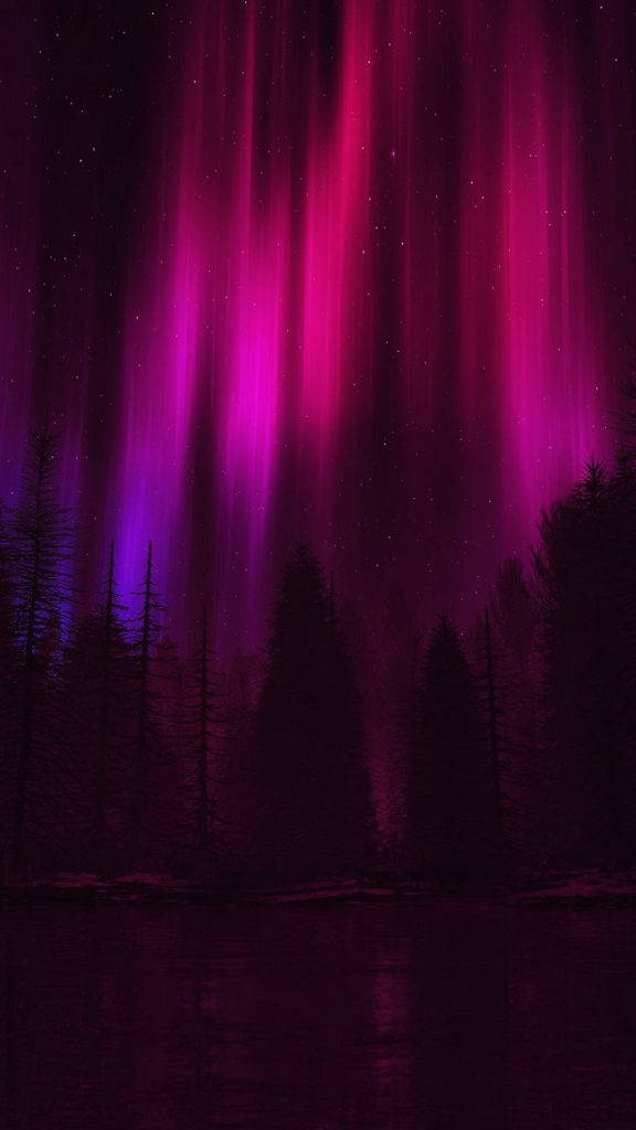 Pink Aurora, Night Sky, Dark Forest Silhouette, SD Phone Wallpaper