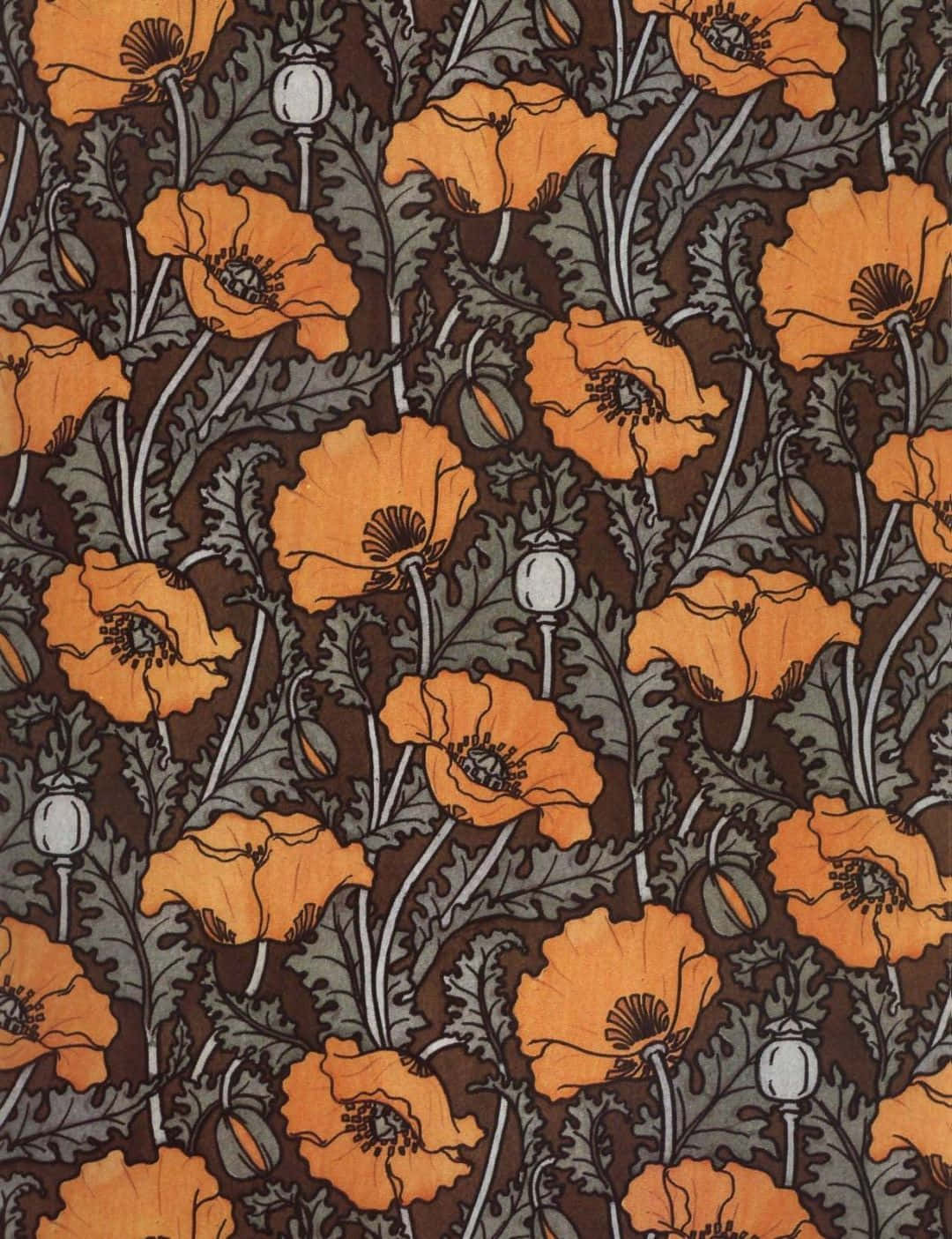 orange poppies, dark centers, gray-green leaves, HD Phone Wallpaper