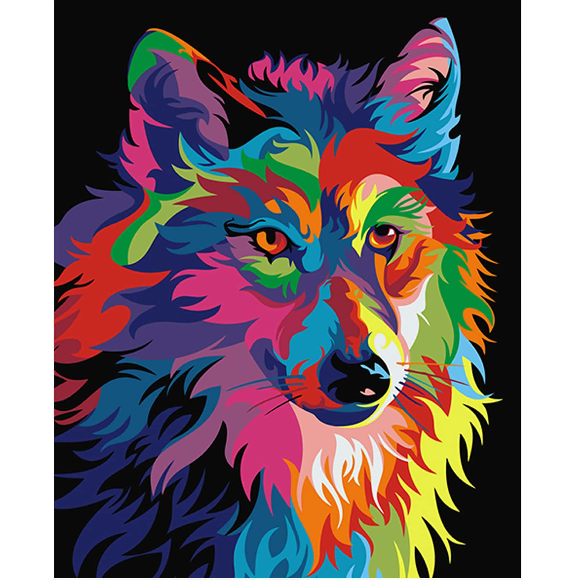 rainbow wolf 2000 x 2000, rainbow-colored fur, black background, Full HD Desktop Wallpaper