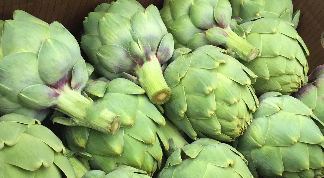 Artichoke