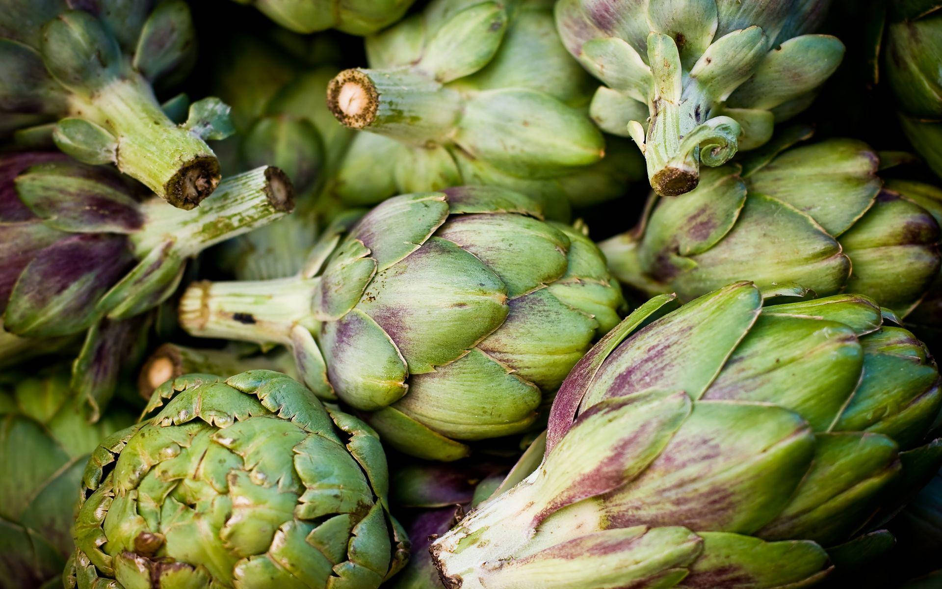 fresh green artichokes, purple-tinged leaves, close-up, Full HD Desktop Wallpaper