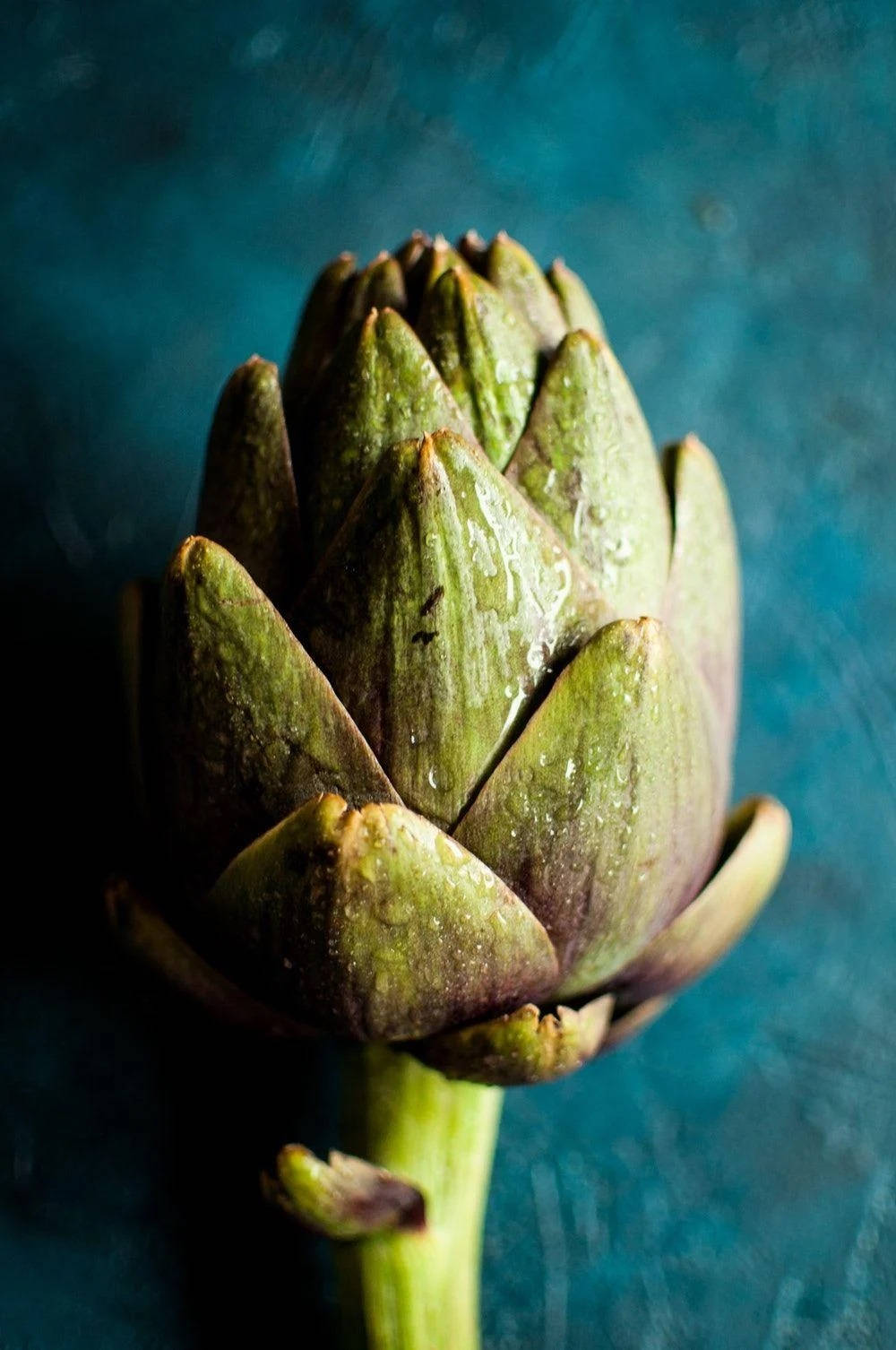 green artichoke, dew drops, textured teal background, HD Phone Wallpaper