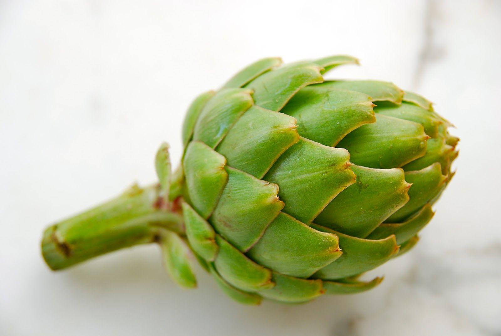 thistle, cultivated green artichoke, vegetable, HD Desktop Wallpaper