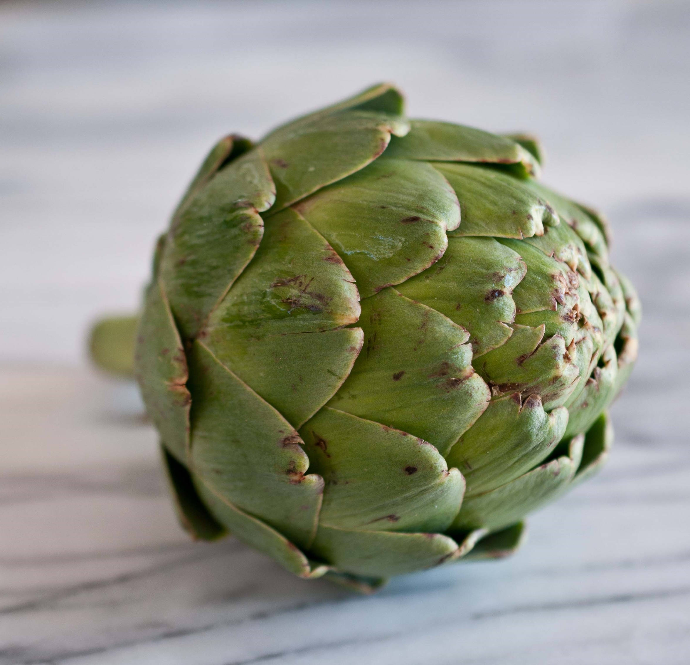 green artichoke, textured leaves, light marble surface, Full HD Desktop Wallpaper