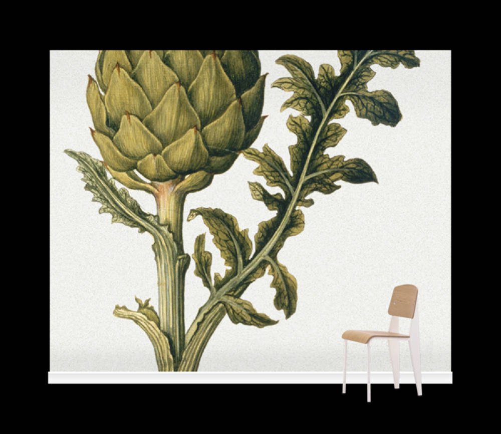 artichoke plant, mural art, minimalist wooden chair, SD Desktop Wallpaper