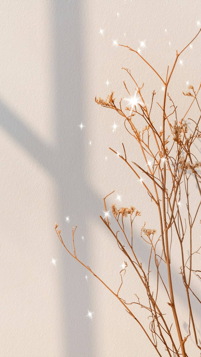 beige aesthetic phone, glittering branch, dried branches, SD Phone Wallpaper
