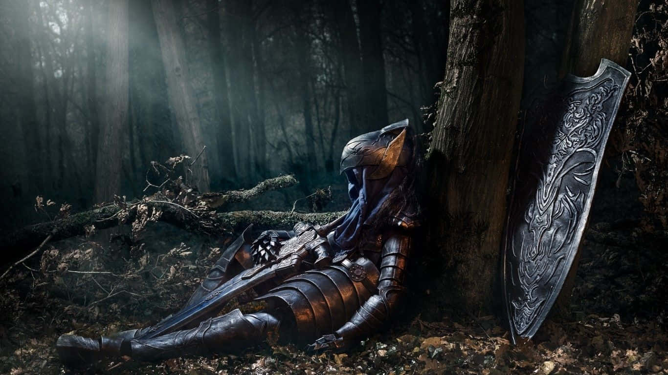 Artorias The Abysswalker, armored knight, misty forest, HD Desktop Wallpaper